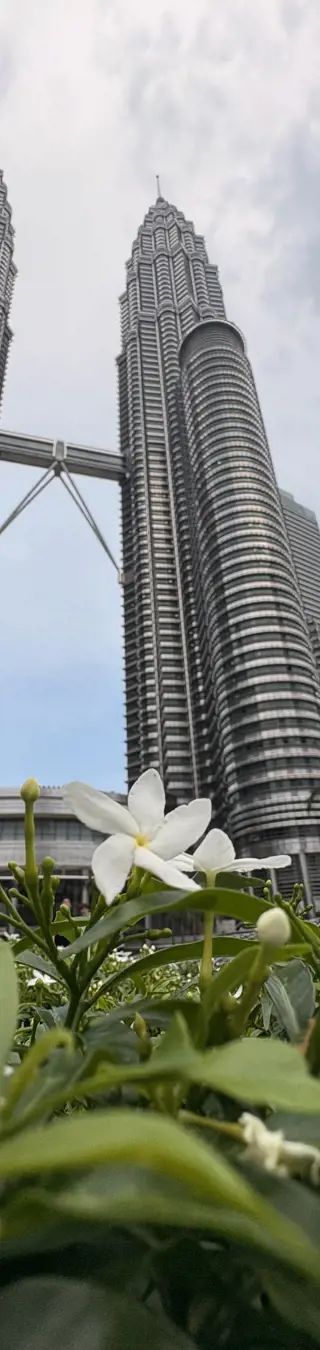 Twin Towers.